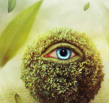 网站ddos隐藏源ip