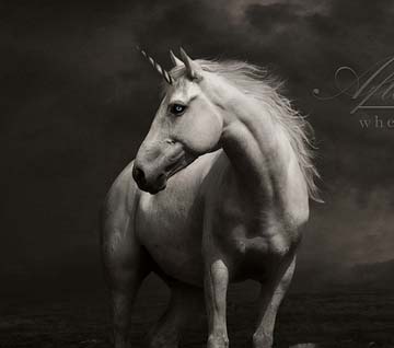 平台在线ddos压力测试