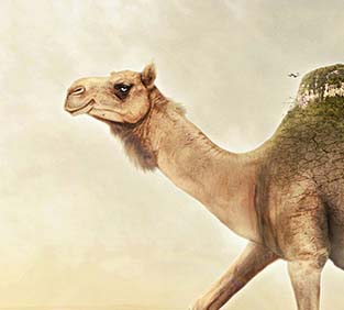 平台在线ddos压力测试