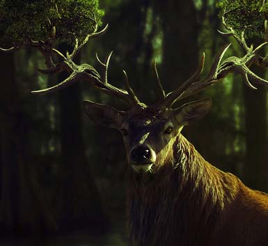 攻击网站服务器